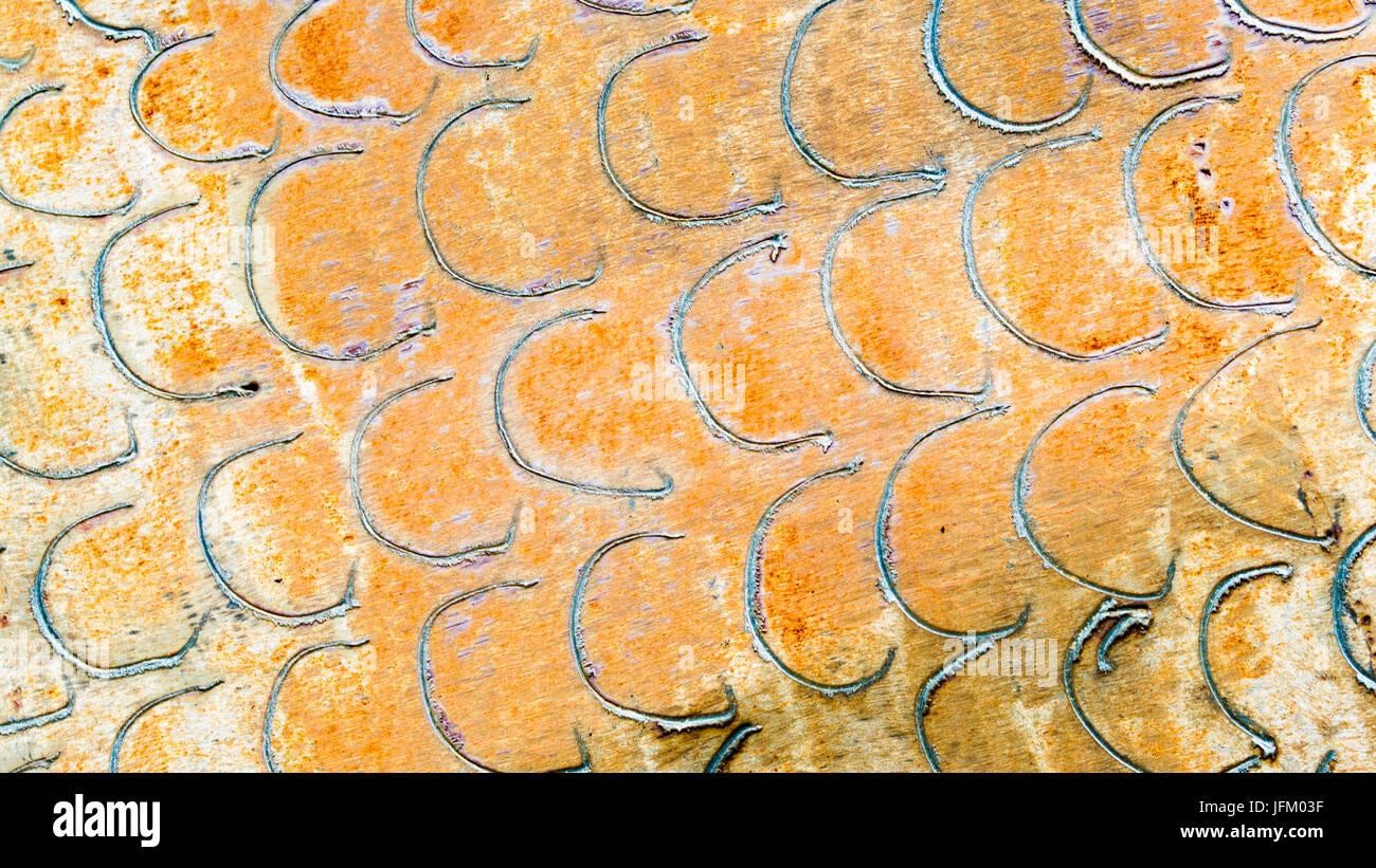 Metallo arrugginito texture di sfondo con metà modello di cerchio Foto Stock