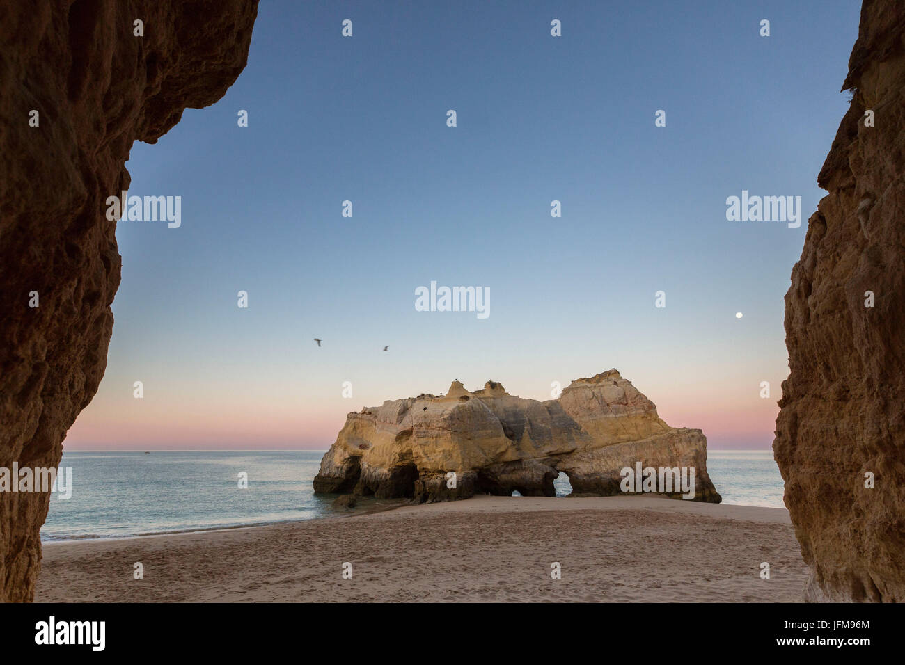 Uccelli in volo su scogliere e oceano sotto il cielo rosa all'alba a Praia da Rocha Portimao distretto di Faro Algarve Portogallo Europa Foto Stock