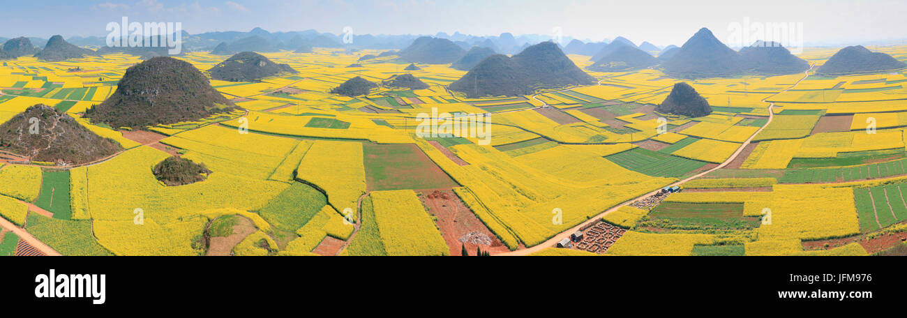 Fiori di colza di Luoping in Yunnan in Cina Foto Stock