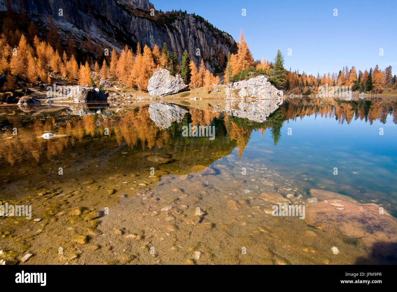 Autunno riflessioni, Lago Federa, Dolomiti, Italia Foto Stock
