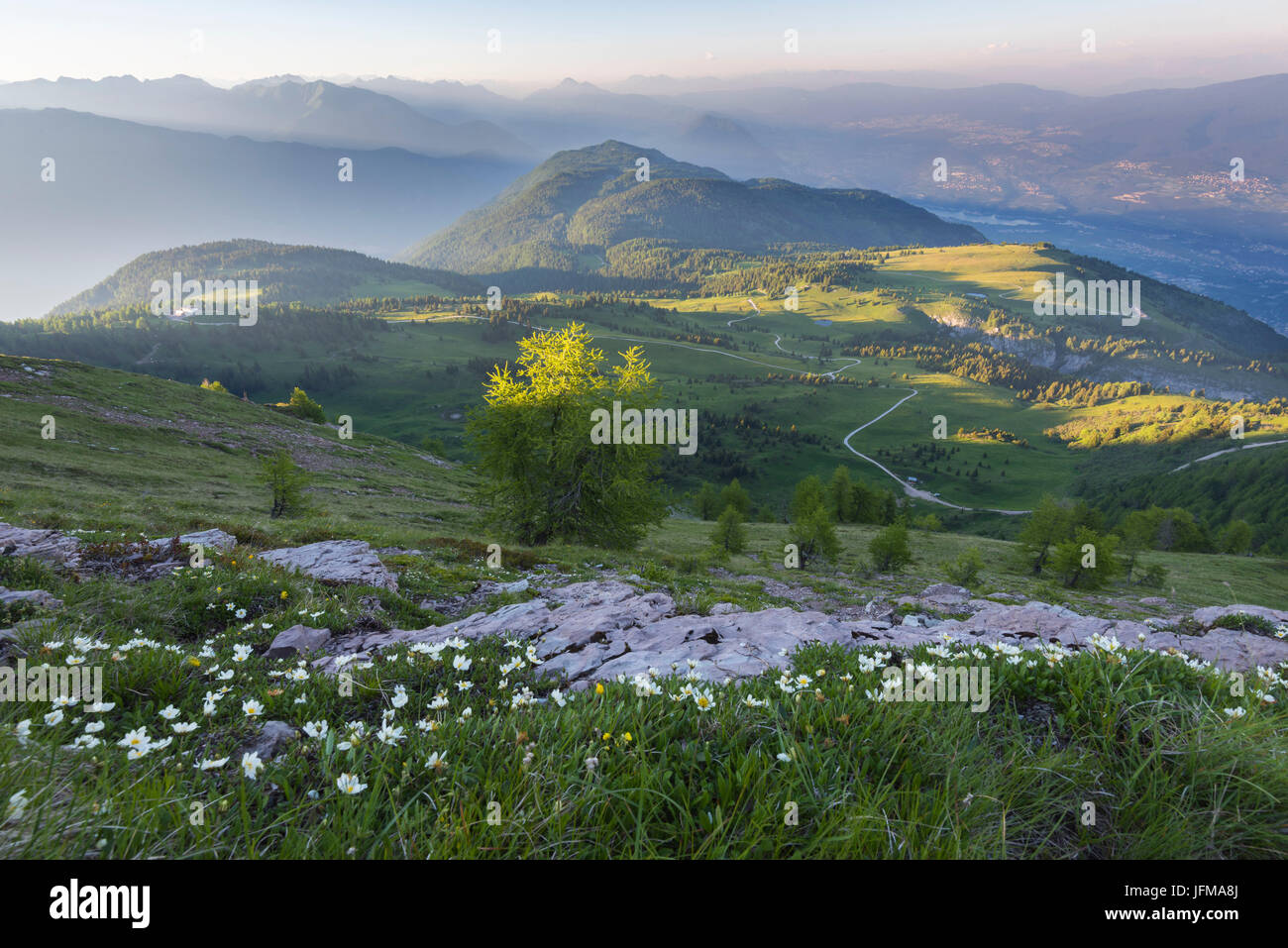 Panoramica del Monte Peller, Trentino Alto Adige, Italia Foto Stock