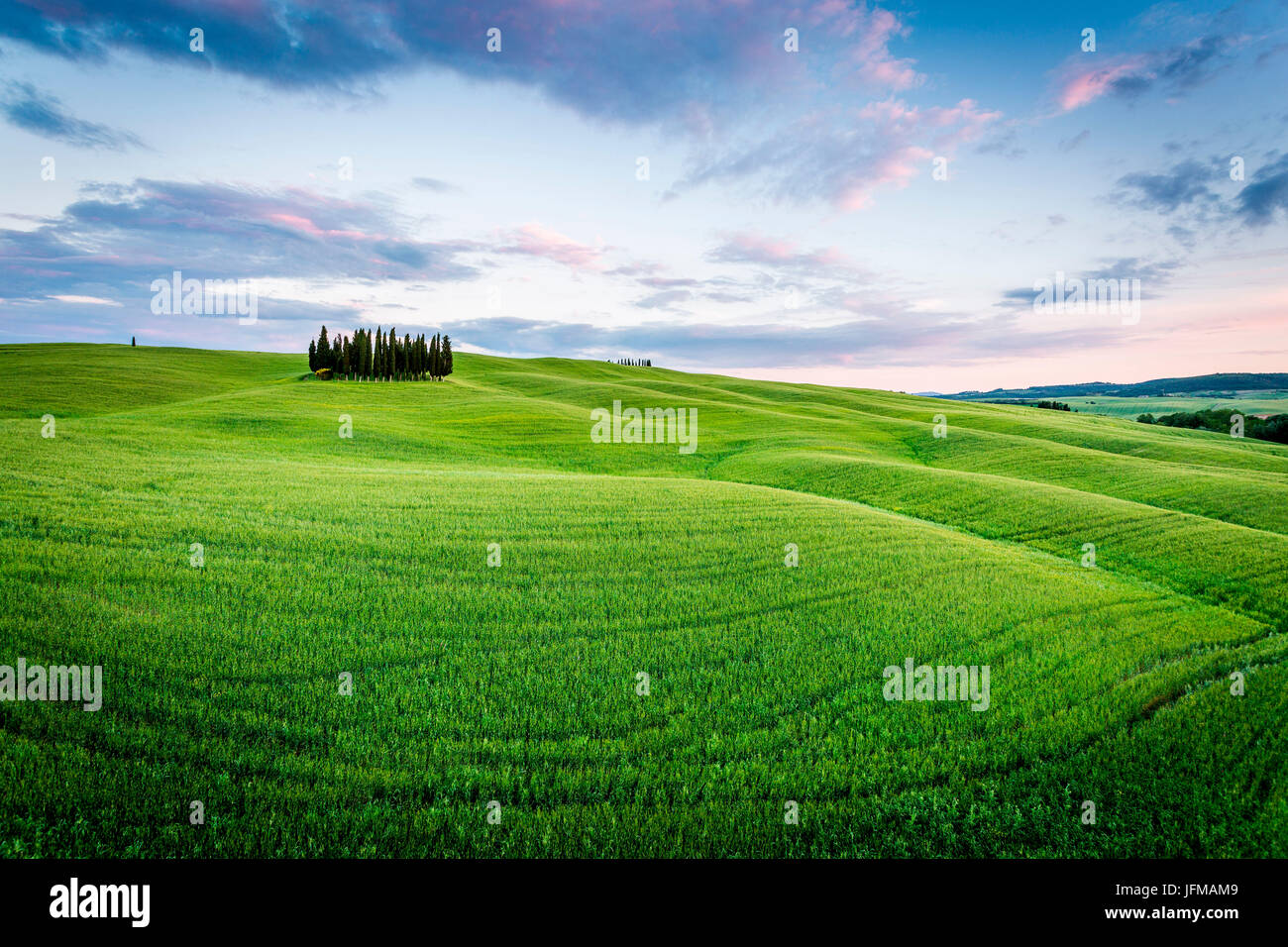 Toscana, Val d'Orcia, Italia, cipressi nel prato verde campo con nuvole raccolta campo prato al tramonto Foto Stock