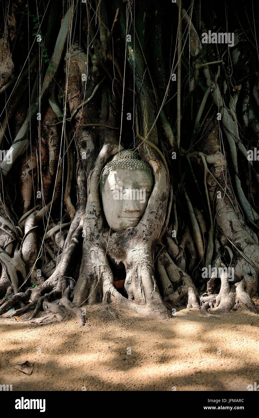 Una testa abbandonati e intrappolata tra i secolari radici di un albero nella sede storica di Ayutthaya, tanta bellezza in elementi semplici,, Foto Stock