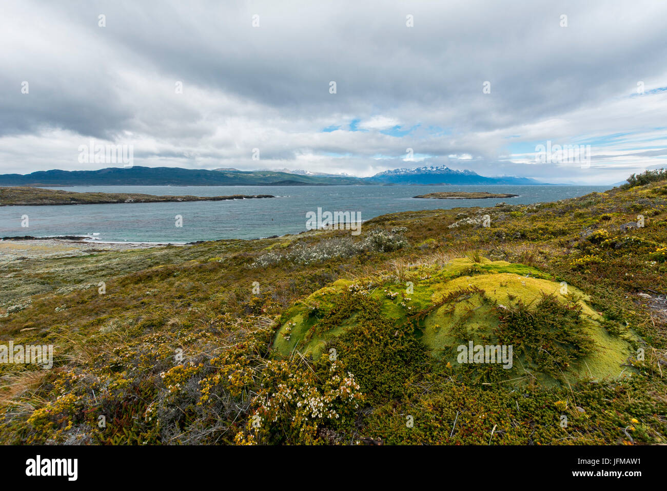 Argentina, Patagonia e Tierra del Fuego National Park, Ushuaia, Canale del Beagle, ponti isole Foto Stock