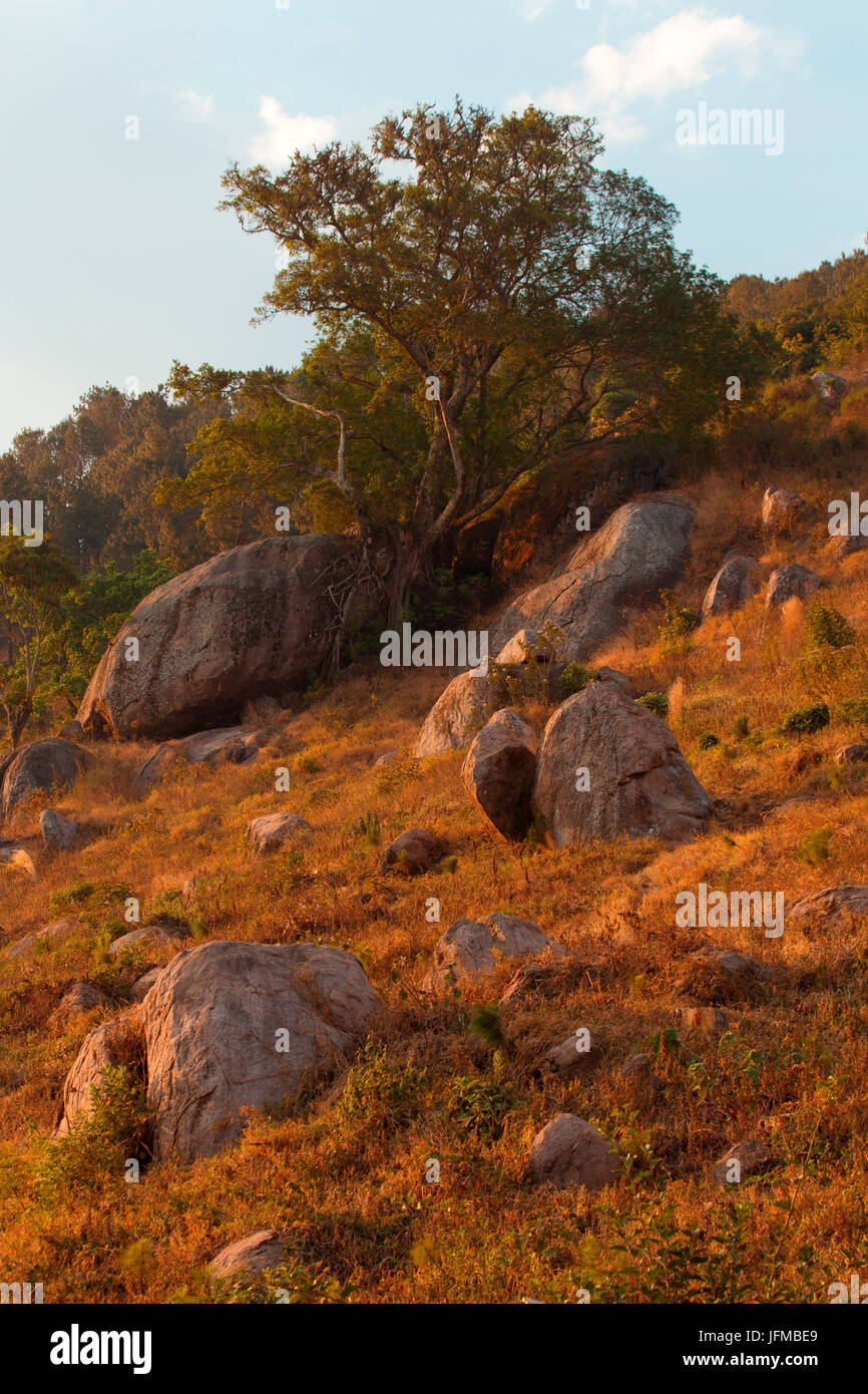 Africa, Malawi, Lilongwe district, Montagna del Malawi Foto Stock