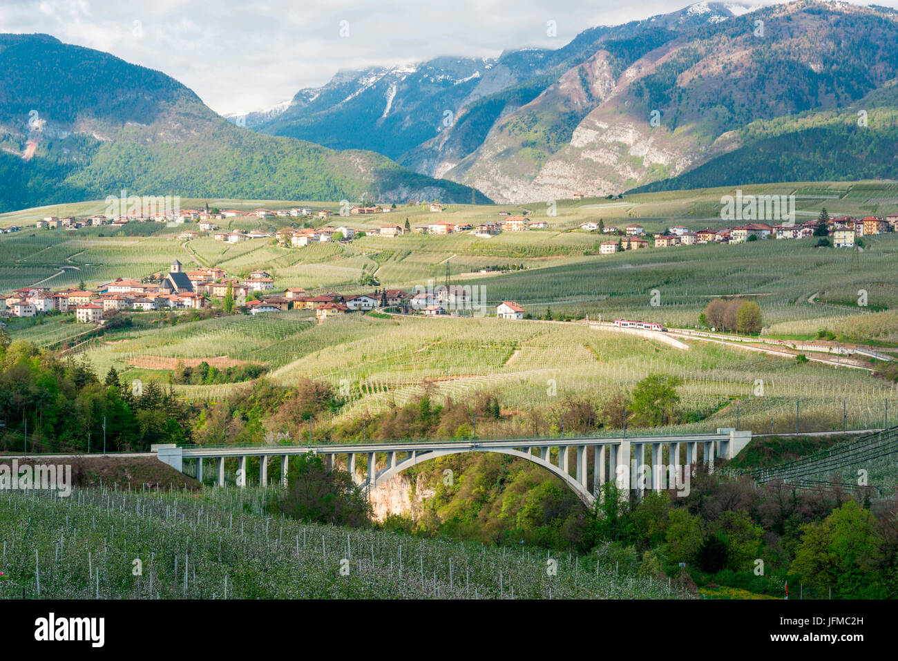 L'Italia, Trentino Alto Adige, apple fioritura della Valle di Non e S, Giustina ponte, Foto Stock