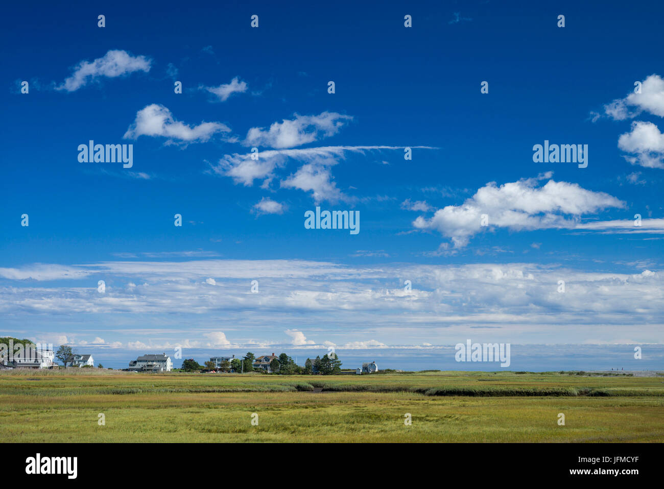 Stati Uniti d'America, New Hampshire, SEGALE Segale Harbour, vista palude Foto Stock