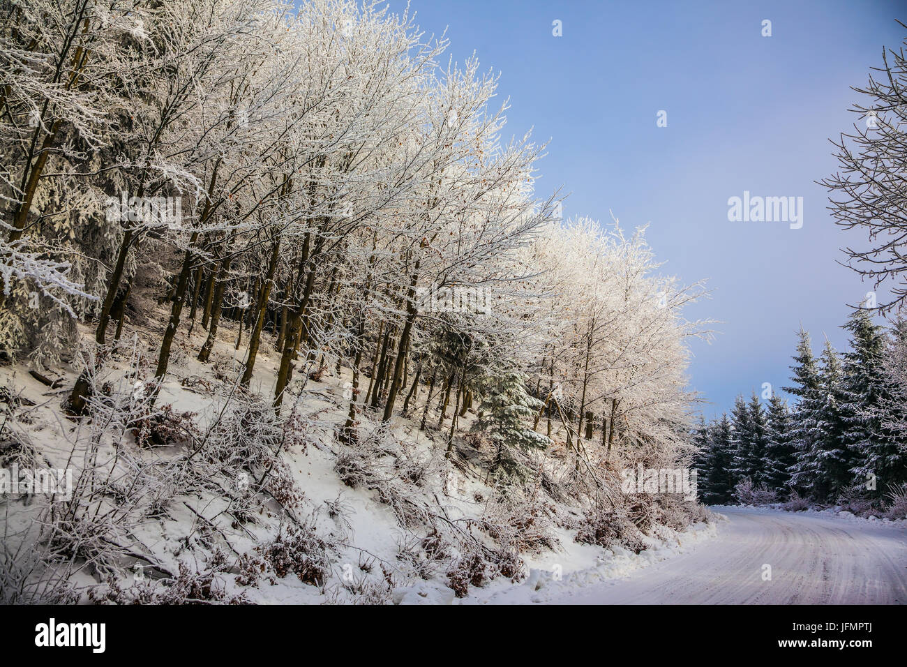 La pista di sci passa sulla strada coperta di neve il legno Foto Stock