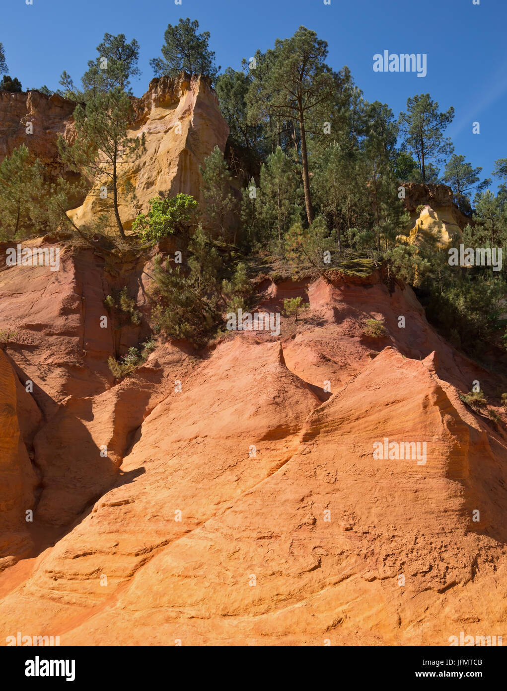 Verdi alberi creare bel contrasto con ocra Foto Stock