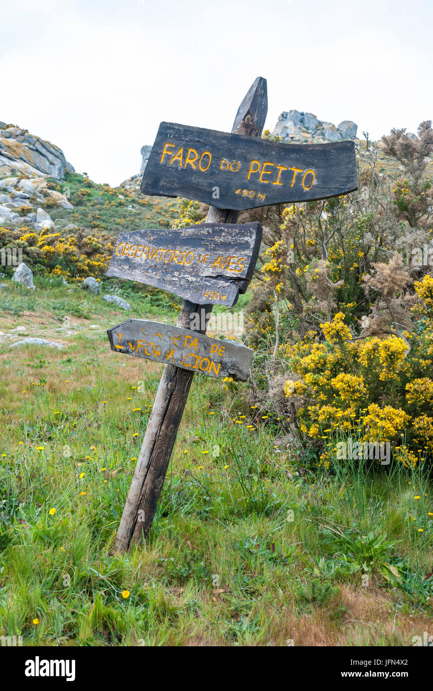 Isole Cies parco naturale, Galizia, Spagna Foto Stock