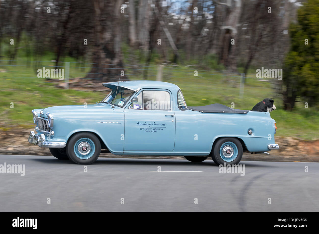L'annata 1957 Holden FE Utility guida su strade di campagna vicino alla città di Birdwood, Sud Australia. Foto Stock
