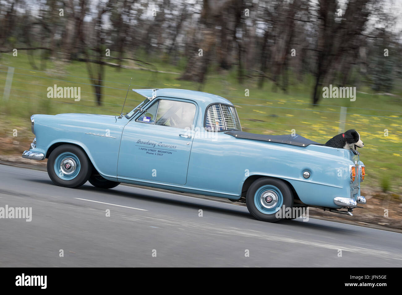 L'annata 1957 Holden FE Utility guida su strade di campagna vicino alla città di Birdwood, Sud Australia. Foto Stock