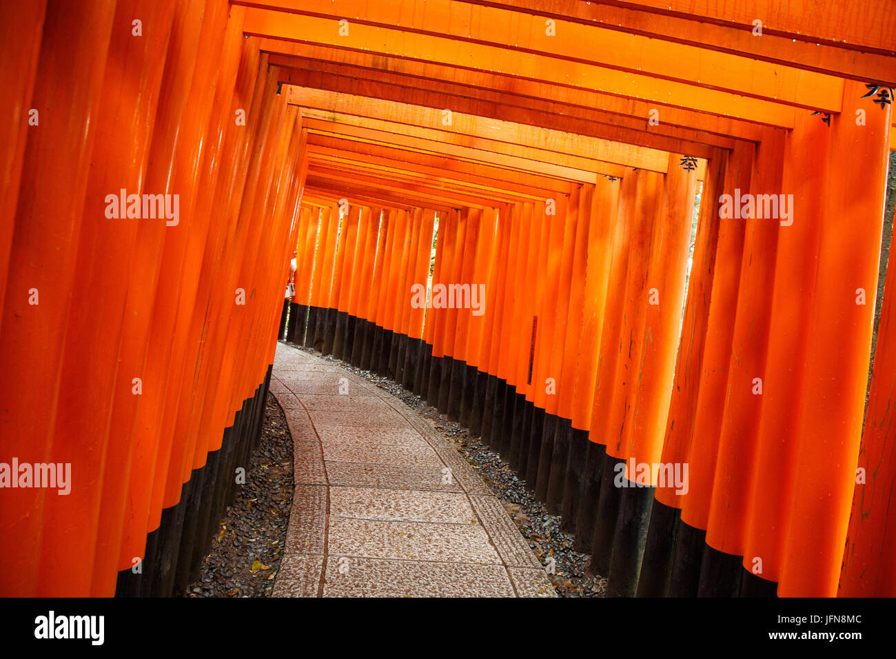 Orange torii a Fushimi Inari a Kyoto, Giappone Foto Stock