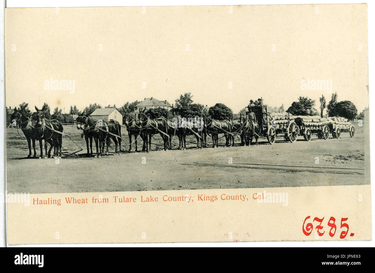 06785-re County-1905-alaggio frumento dal Tulare Lago Country-Brück & Sohn Kunstverlag Foto Stock