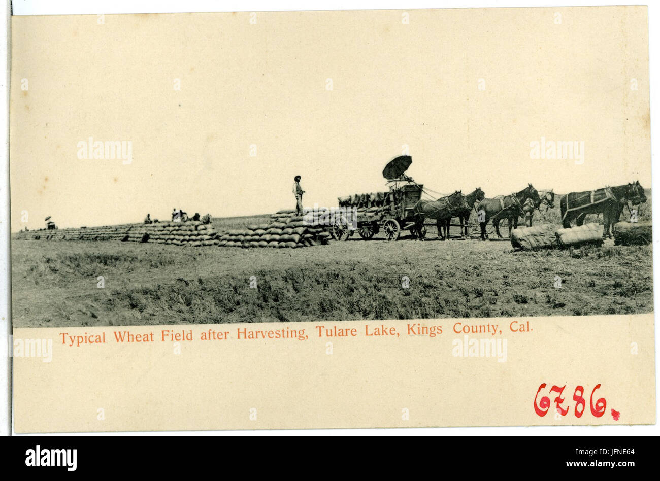 06786-re County-1905-tipico campo di grano dopo la mietitura, il Tulare Lake-Brück & Sohn Kunstverlag Foto Stock