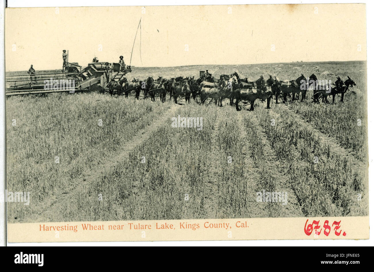 06787-re County-1905-mietitura del frumento nei pressi di Tulare Lake-Brück & Sohn Kunstverlag Foto Stock