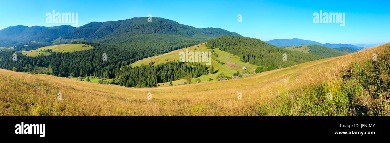 Estate Mountain View (Carpazi, Ucraina). Foto Stock