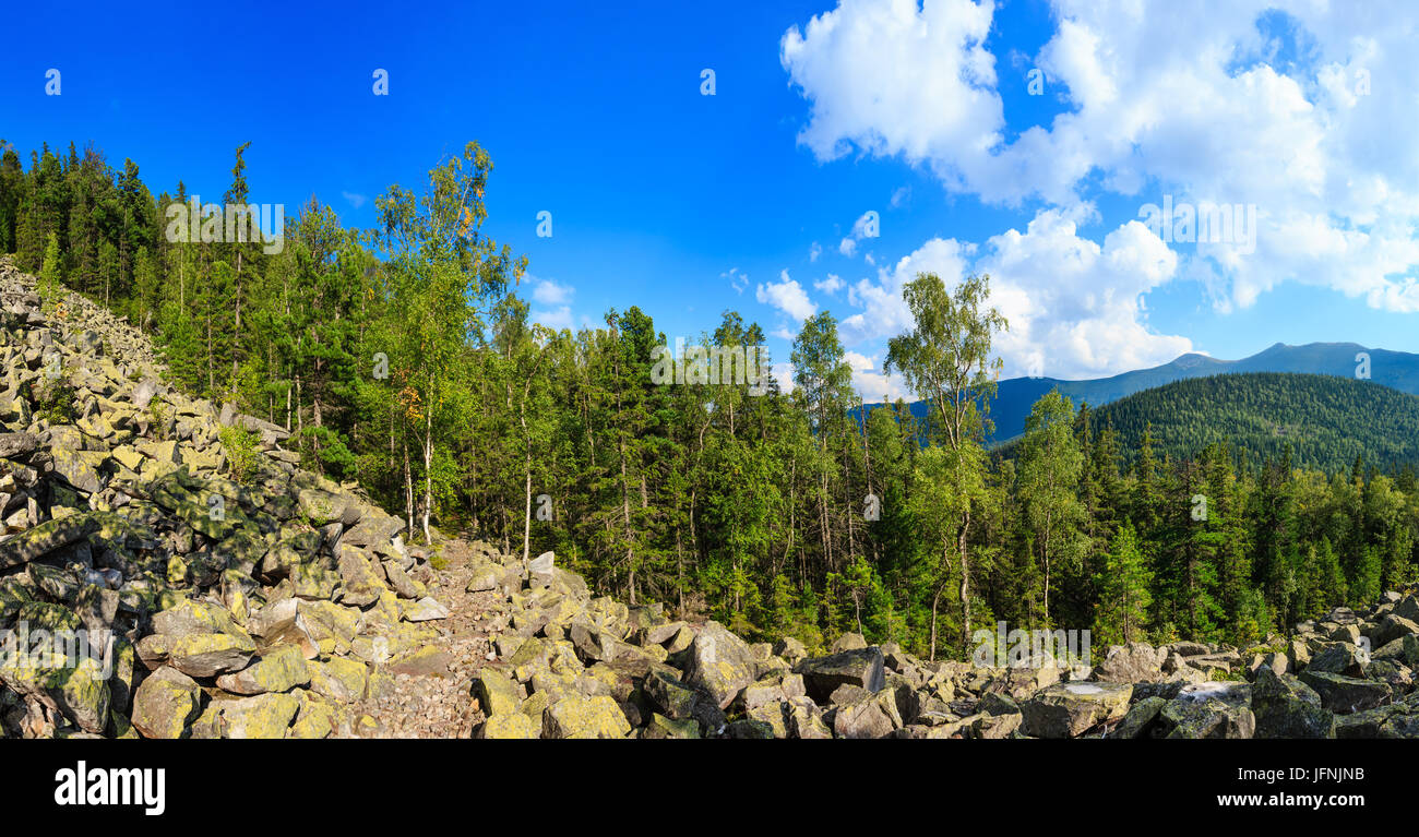 Estate Mountain View (Carpazi, Ucraina). Foto Stock