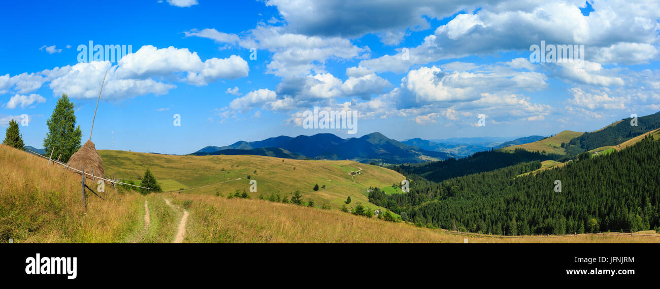 Estate Mountain View (Carpazi, Ucraina). Foto Stock
