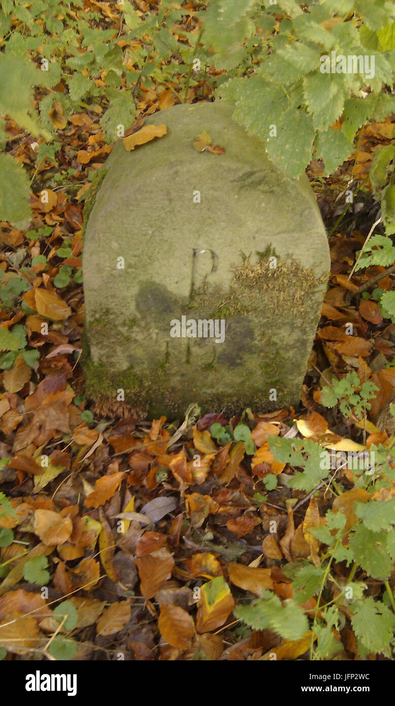 2011-11-02 Rödinghausen Grenzstein 415 Foto Stock