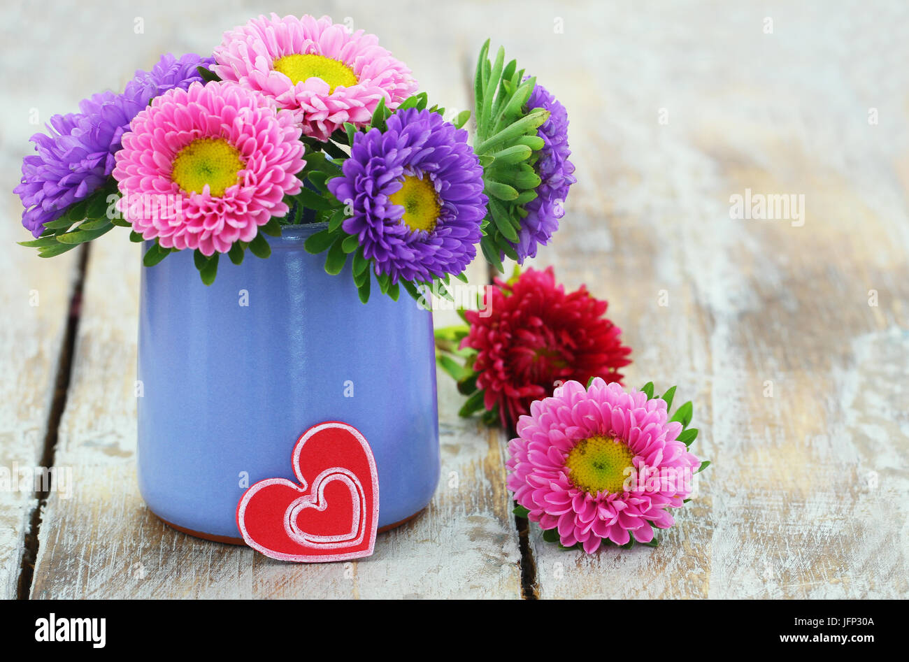 Daisy coloratissimi fiori in vaso blu, cuore rosso con spazio di copia Foto Stock