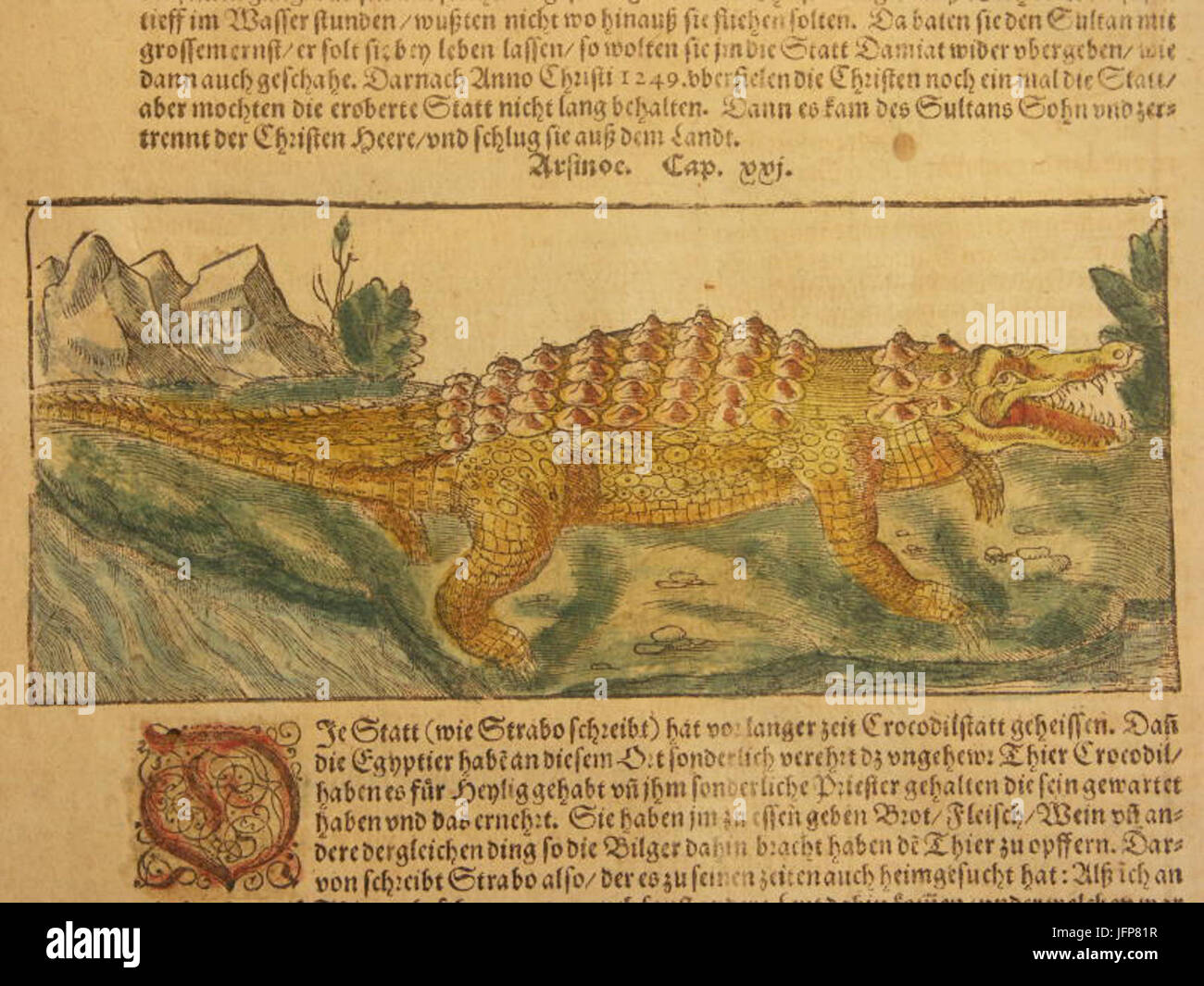 Un coccodrillo 28160029 Foto Stock