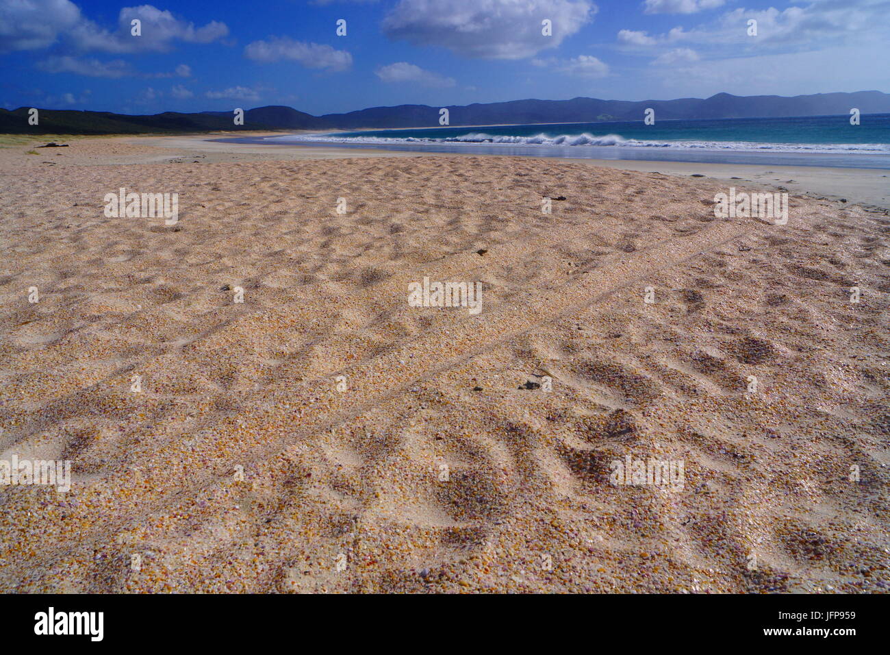 Bevande spiritose Bay,Cape Reinga,Nuova Zelanda Foto Stock