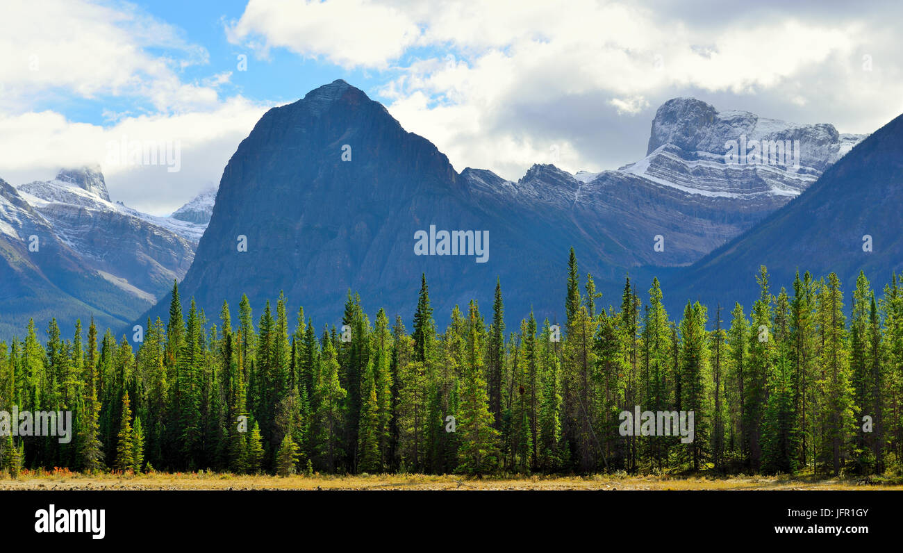 Il paesaggio alpino lungo la Icefields Parkway tra Jasper e Banff nelle Montagne Rocciose Canadesi Foto Stock