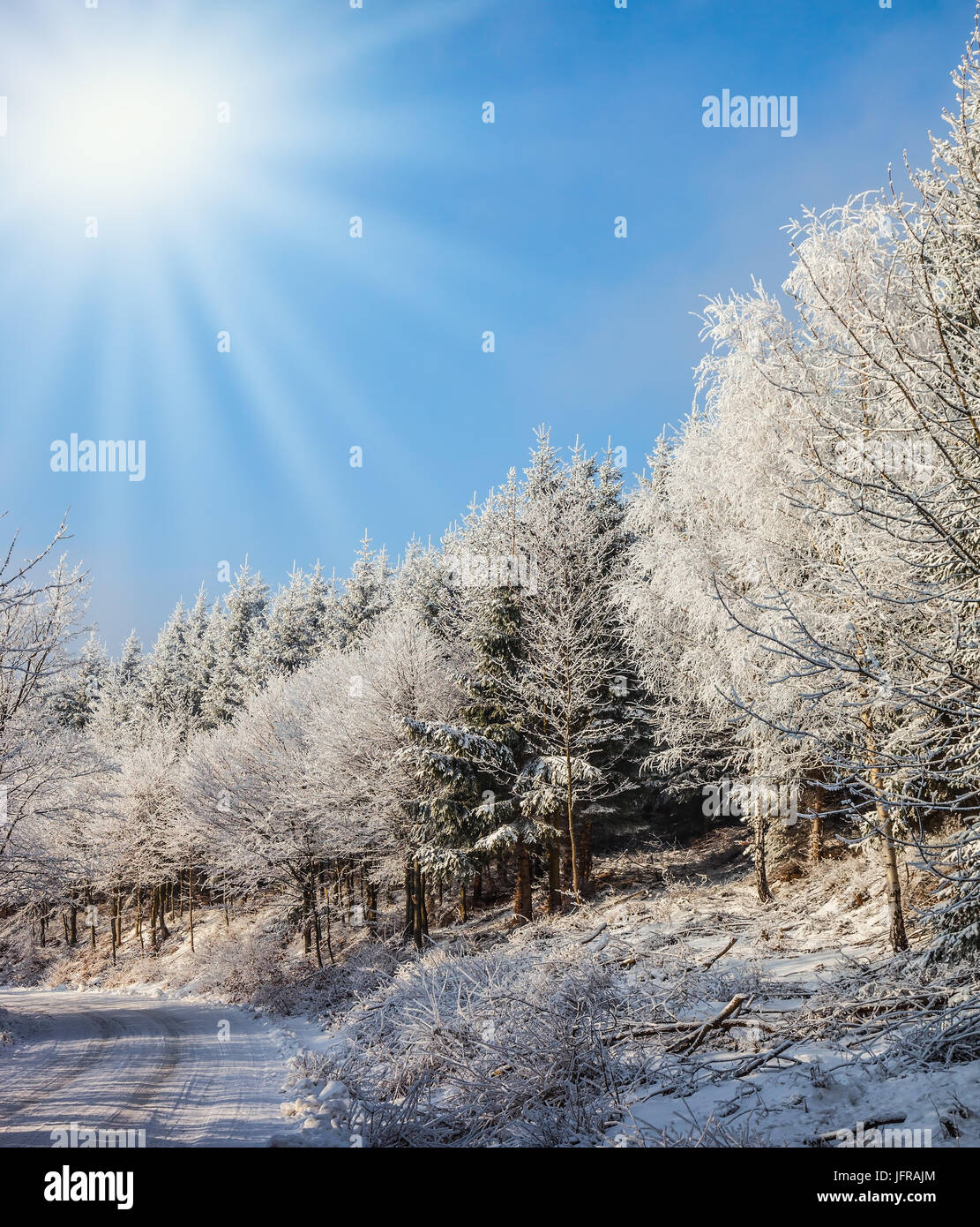 La Strada del Legno preparato per gli sciatori Foto Stock