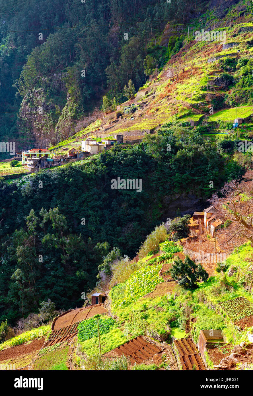 Una vista del paesaggio terrazzato di faja das galinhas, madeira, portogallo Foto Stock