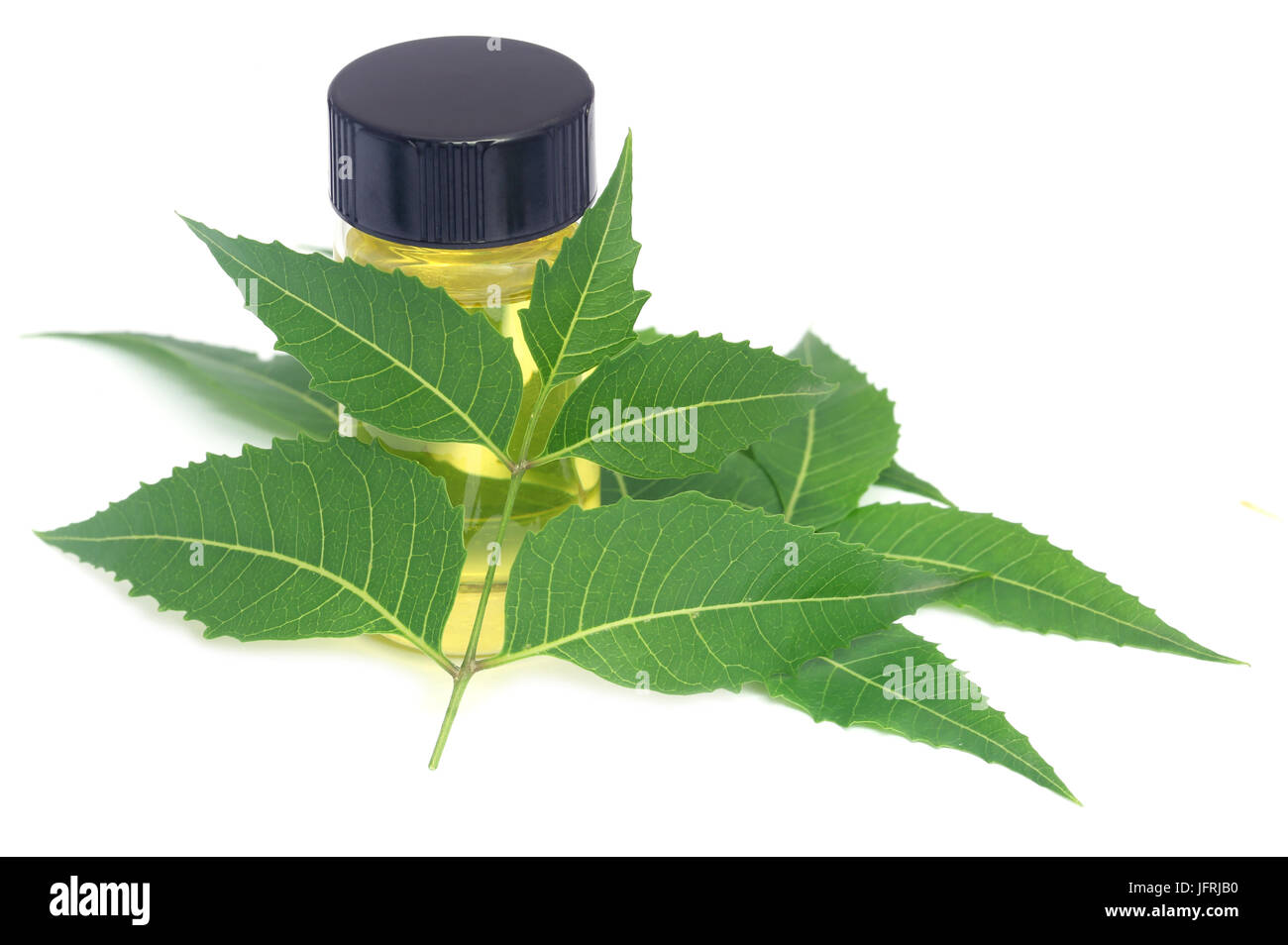 Medicinali di foglie di neem con olio essenziale su sfondo bianco Foto Stock