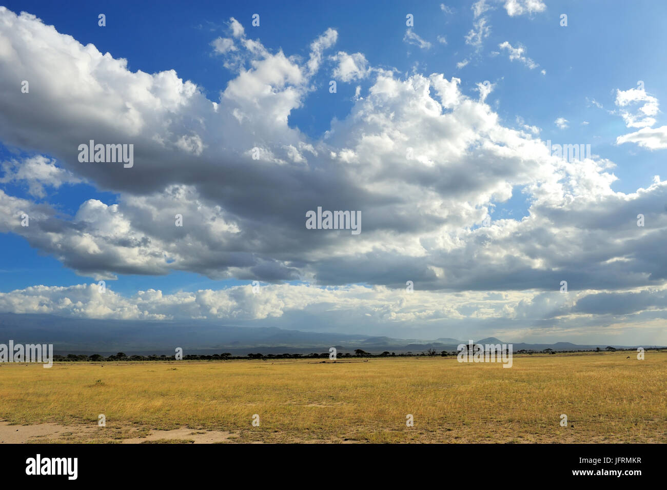 Drammatico il cloud e la vasta prateria di Savannah Foto Stock
