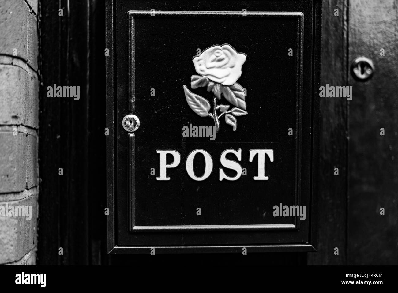 una casella postale con una rosa bianca Foto Stock