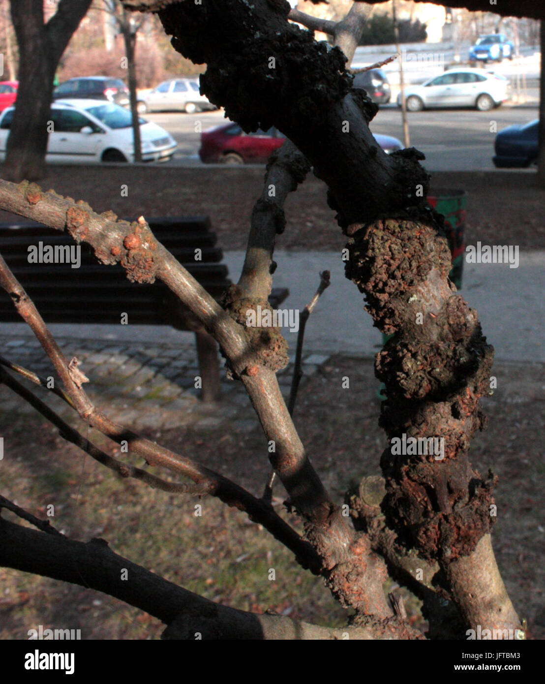 1.html díl 78e95312 Foto Stock