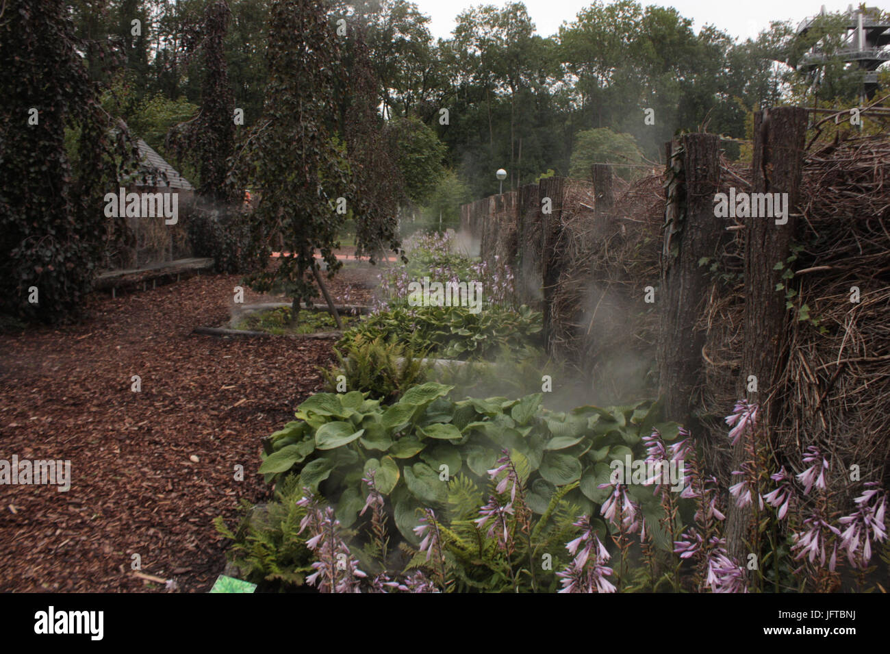 1.html díl m56fadfb Foto Stock