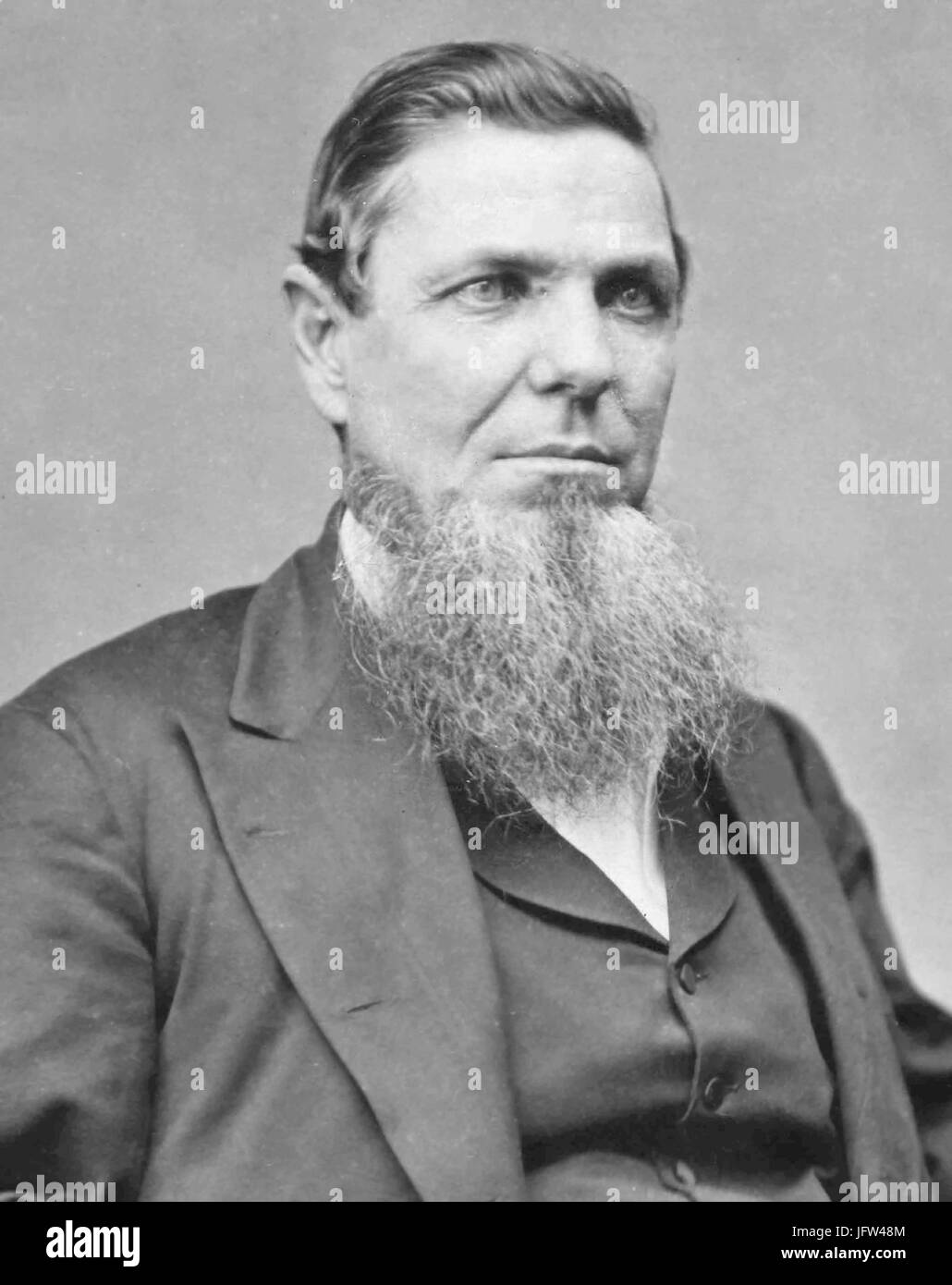 Andrew Jackson Hamilton Foto Stock