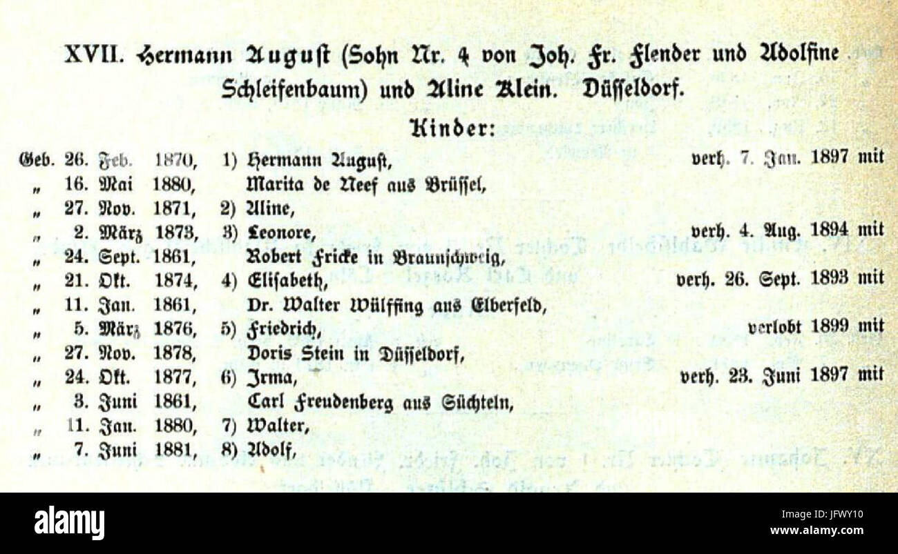 CHRONIK DER FAMILIE FLENDER, Ludwig Voss (Verlag), Düsseldorf 1900, S. 76, Ausschnitt Foto Stock