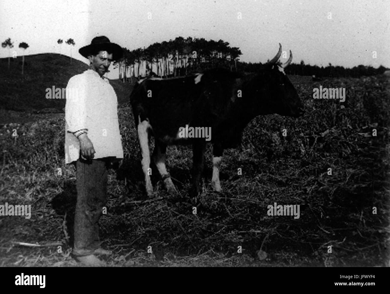 Cinco Picos, 8, Ilha Terceira, Arquivo de Villa Maria, Angra do Heroísmo, Ilha Terceira, Açores Foto Stock