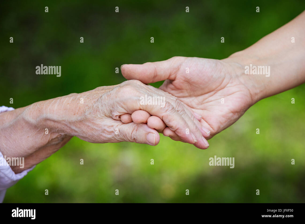 Le mani del giovane adulto e senior donne su sfondo verde all'aperto Foto Stock