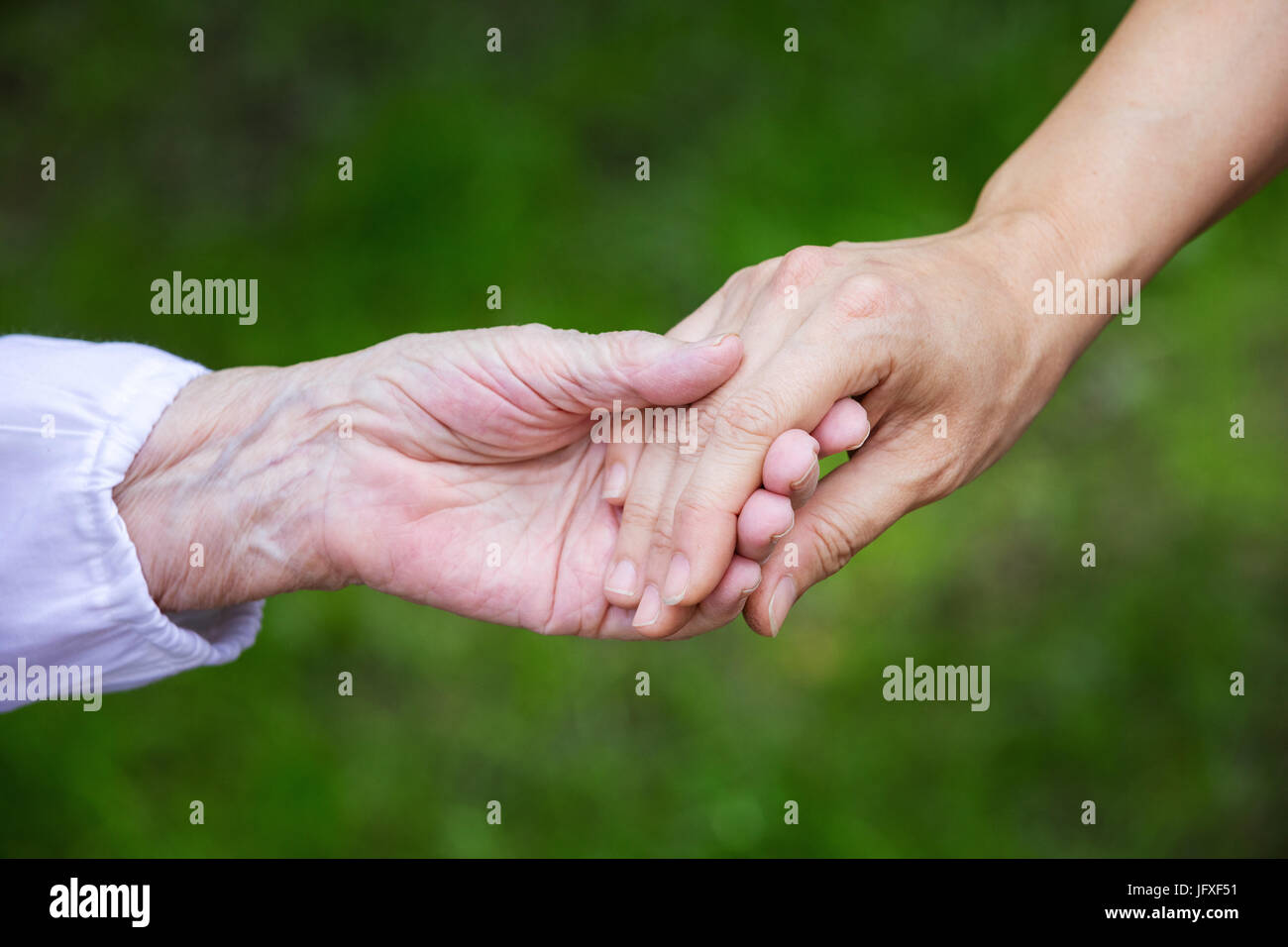 Le mani del giovane adulto e senior donne su sfondo verde all'aperto Foto Stock
