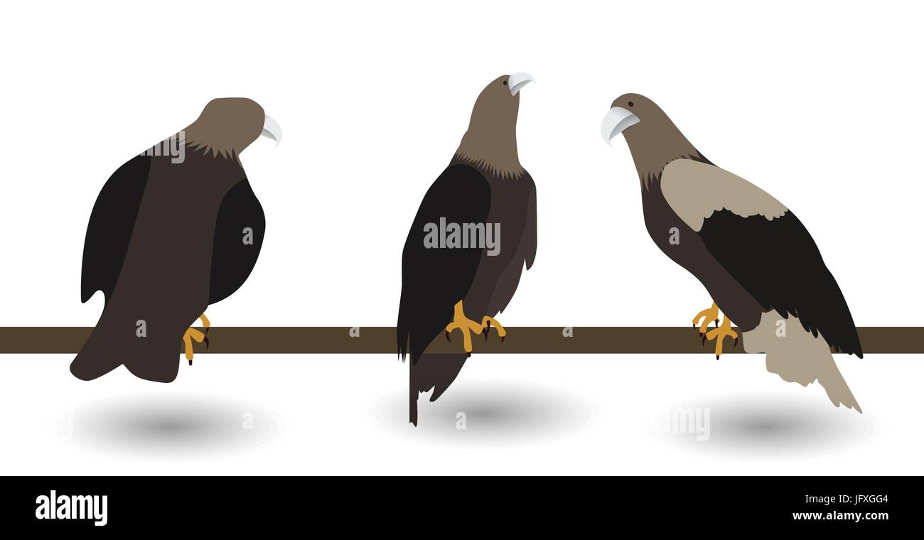 Set di sagome di fast living pericoloso eagle su sfondo bianco. Illustrazione Vettoriale. EPS10 Illustrazione Vettoriale