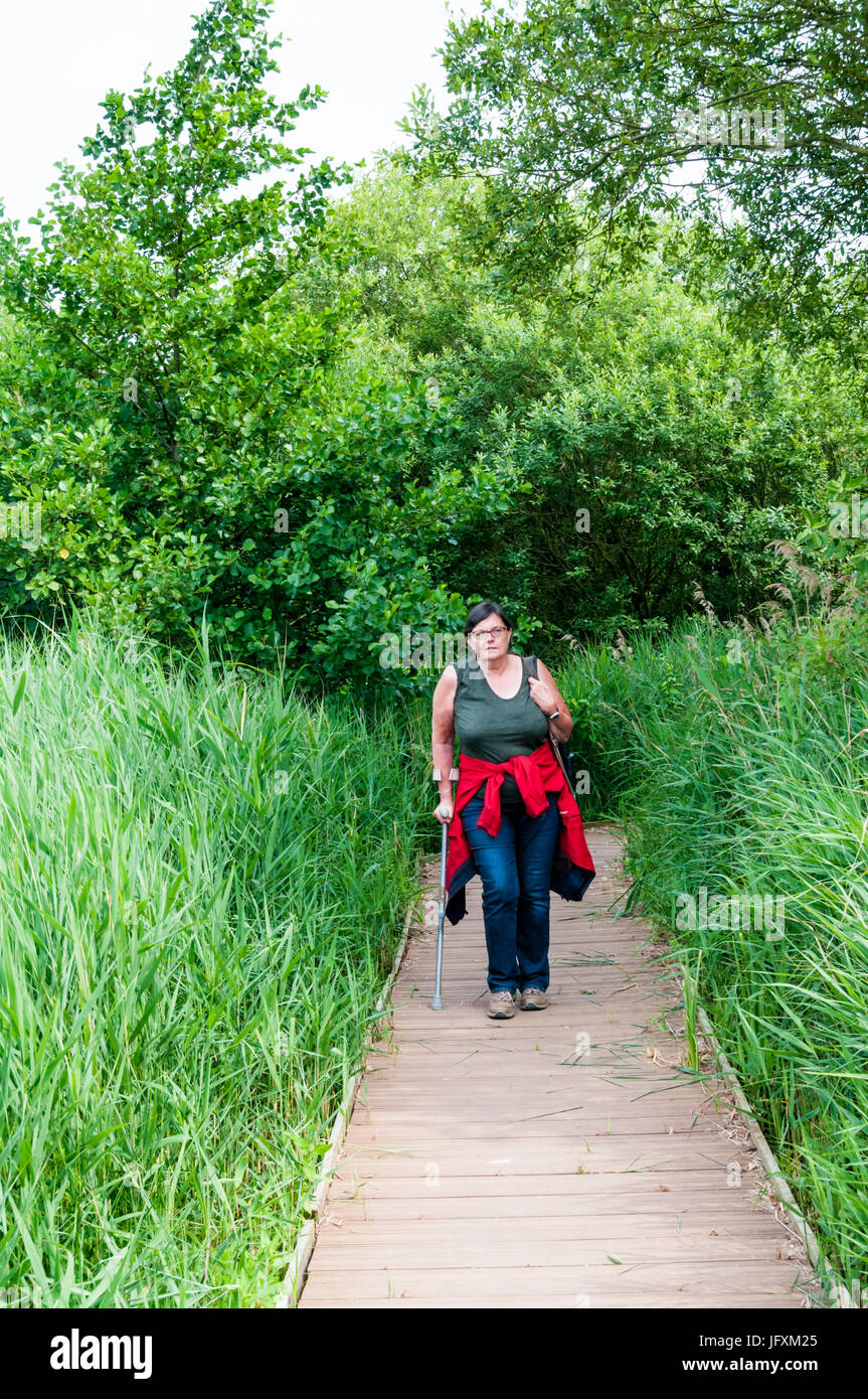 Donna che cammina con aiuto di stampella sul lungomare tra ance a RSPB Titchwell Marsh Bird Reserve. Foto Stock