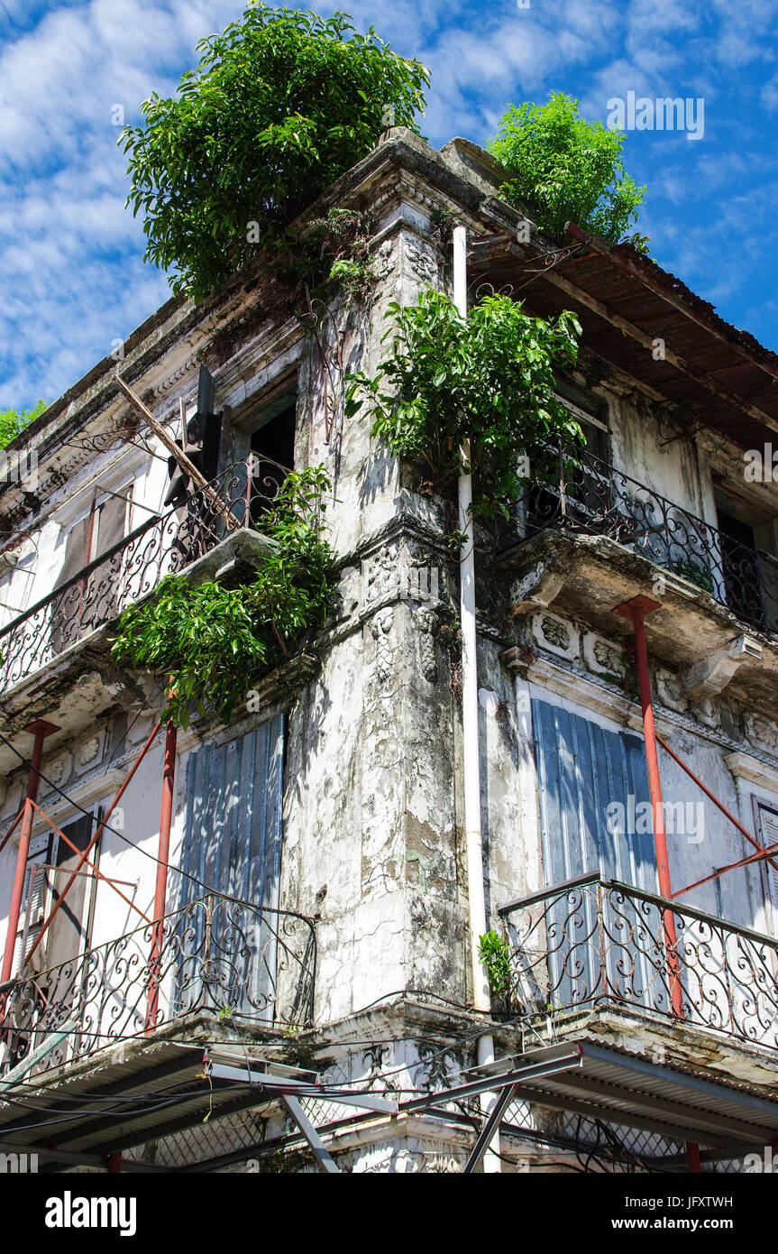 Il marcio vecchia casa coloniale di Panama city con alberi che crescono fuori di windows Foto Stock