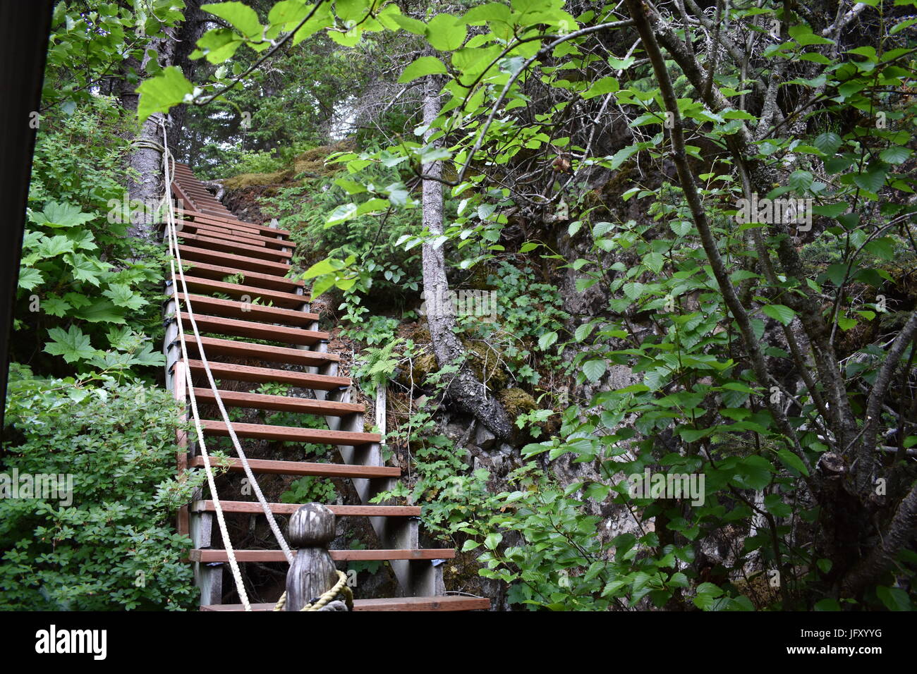 Una scalinata che conduce ad una cabina nel deserto dell'Alaska Foto Stock