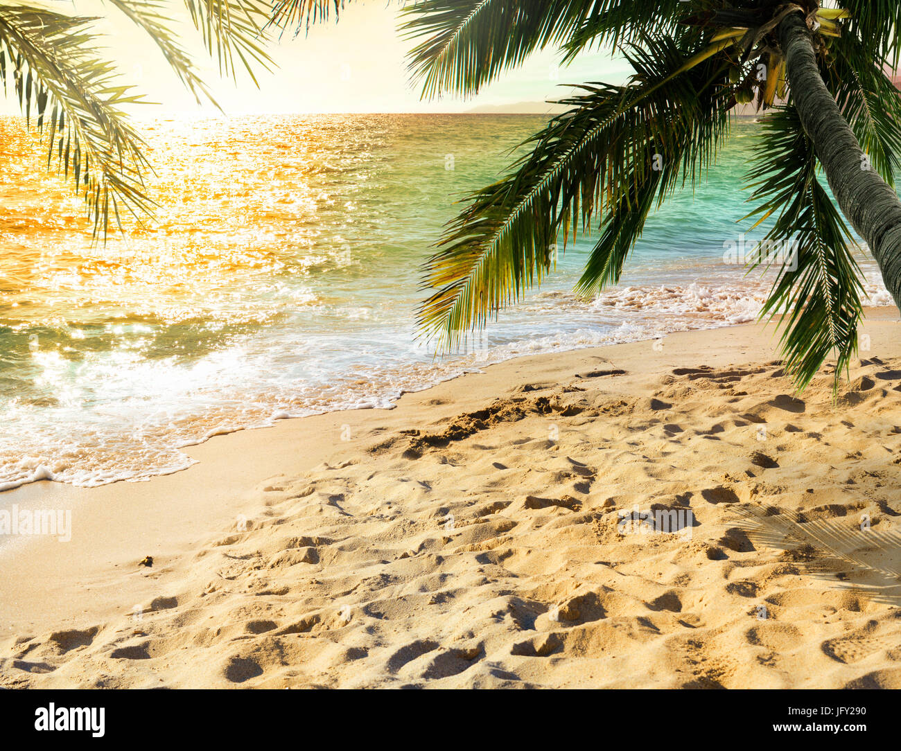 Spiaggia tropicale con albero di cocco sul tramonto Foto Stock