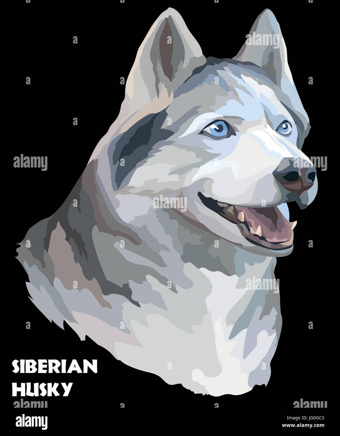 Vettore ritratto colorato di siberian husky del disegno a mano Immagine su sfondo nero Illustrazione Vettoriale