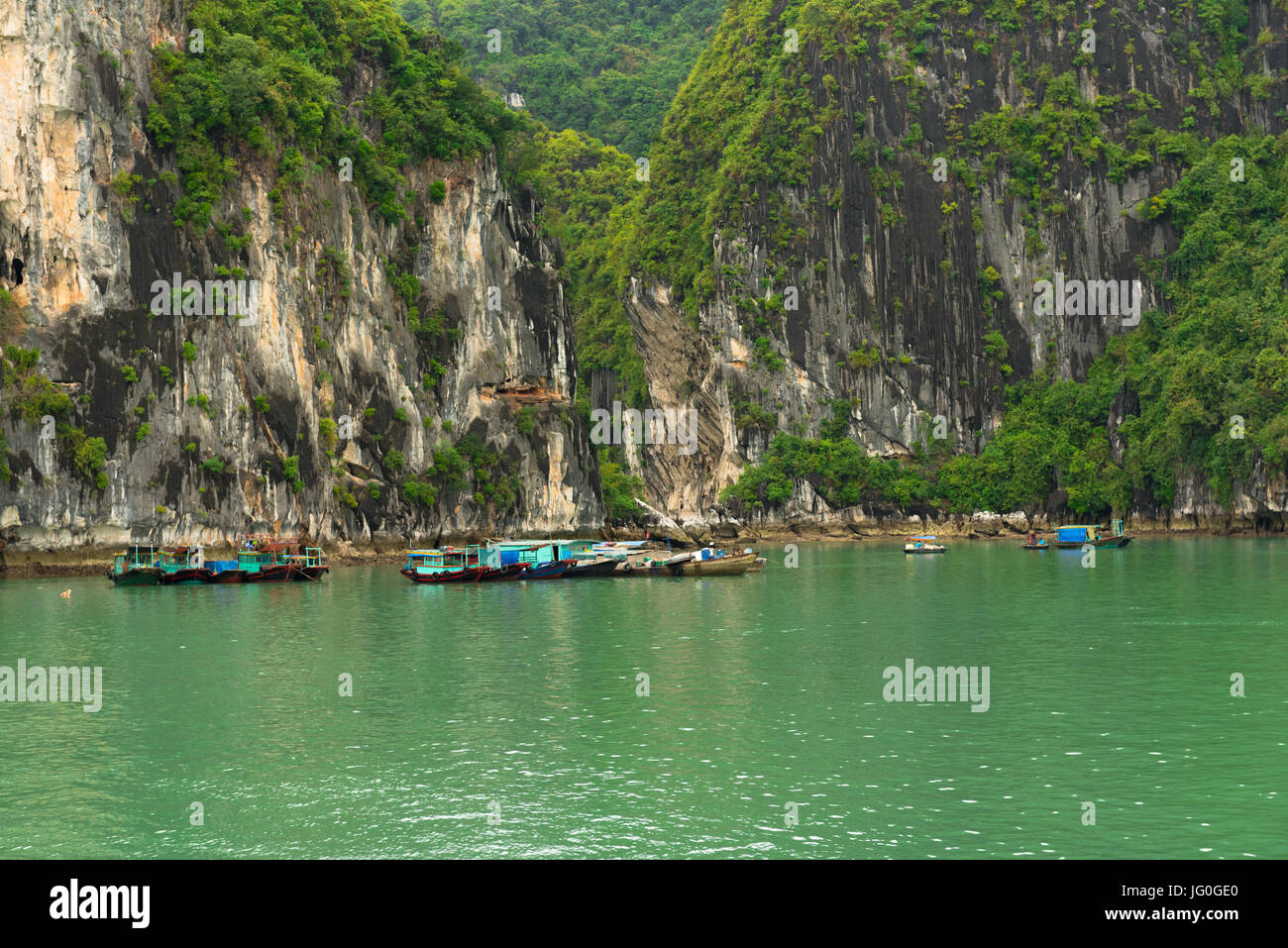 La Baia di Ha Long, Vietnam -- Marzo 24, 2016. Un villaggio di pescatori fatto di barche da pesca ancorate insieme alla base di una spettacolare formazione rocciosa. Foto Stock