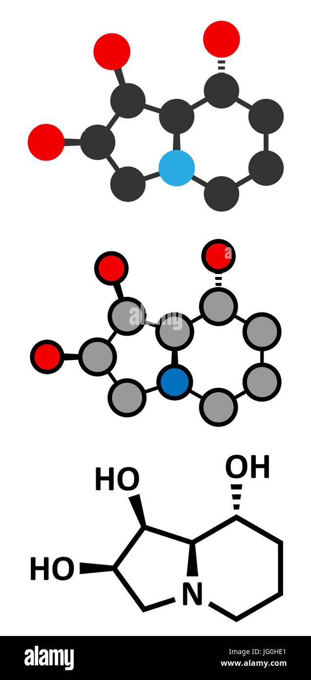 Swainsonine locoweed molecola di tossina. Presente in astragalo, Oxytropis e Swainsona specie vegetali. Tradizionale formula scheletrico e stilizzate di rappresentanza ha Illustrazione Vettoriale