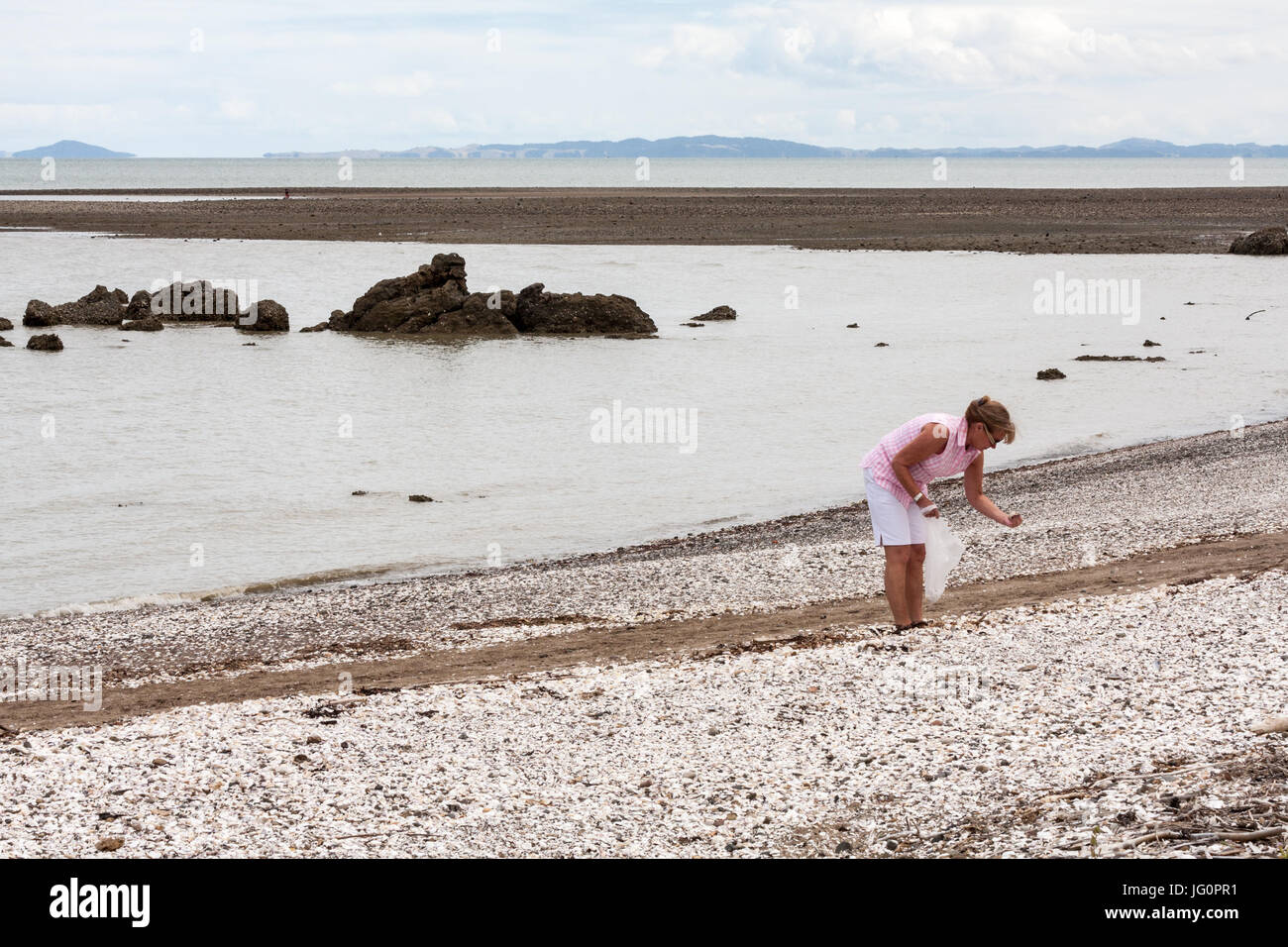 Senior donna raccolta di conchiglie su una spiaggia sassosa sulla Penisola di Coromandel, Isola del nord, Nuova Zelanda Foto Stock