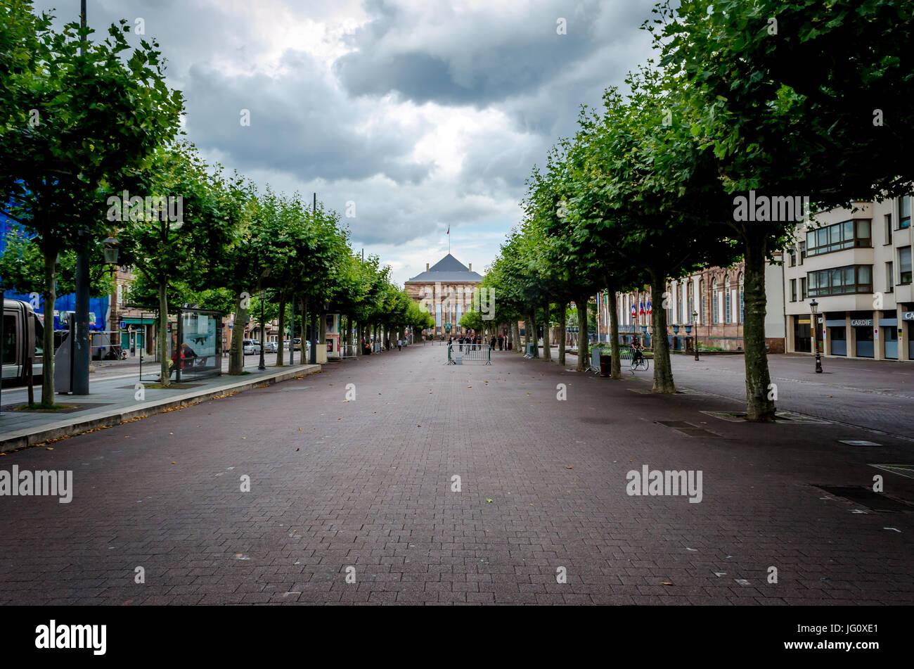 Parco con alberi Foto Stock